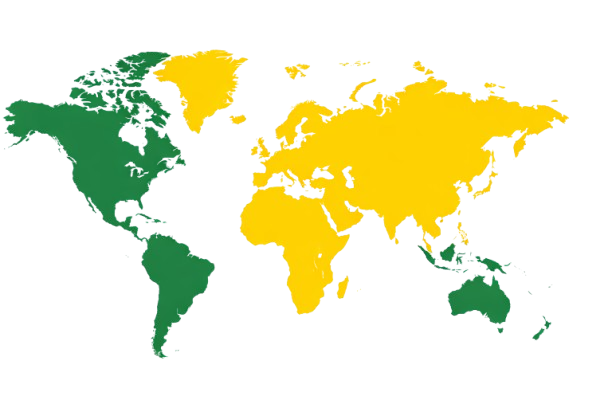 Global portfolio map showing broader international experience supporting East Texas operations